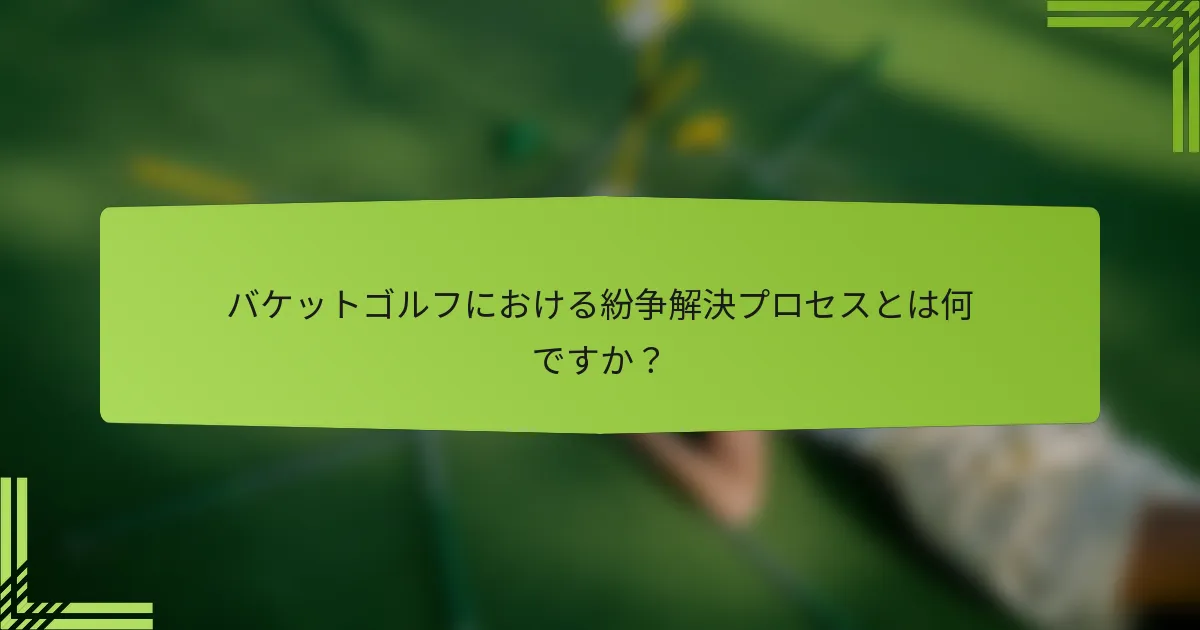 バケットゴルフにおける紛争解決プロセスとは何ですか？